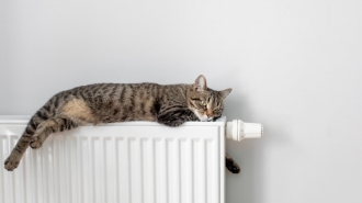 ANRE a votat majorarea tarifului la energia termică