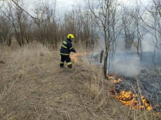 За сутки пожарные потушили 12 очагов возгорания растительности