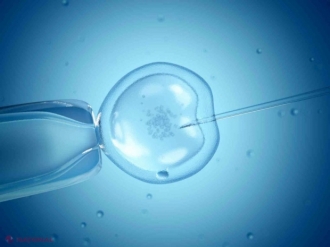 100 de cupluri din capitală vor putea face gratuit procedura de fertilizare in vitro