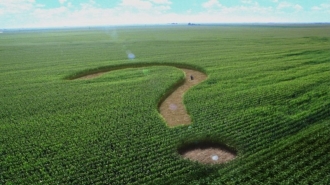 Guvernul va aloca suplimentar 533 de milioane de lei pentru nevoile agricultorilor
