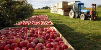 Министерство экономразвития: Поставки молдавской сельхозпродукции на рынок РФ осуществляются беспрепятственно