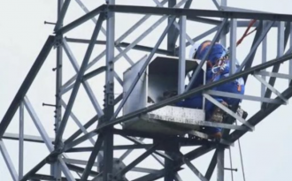 370 de cuiburi pentru păsări vor fi instalate pe pilonii Liniei Electrice Aeriene Vulcănești-Chișinău
