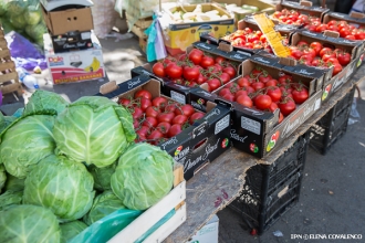 В этом году цены на сельхозпродукцию в Молдове снизились вдвое, а себестоимость её выросла