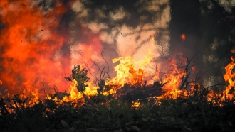 Mexicul luptă cu incendii de proporții