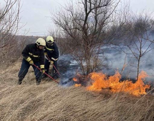 С начала года пожары уничтожили более 2600 гектаров сухой растительности