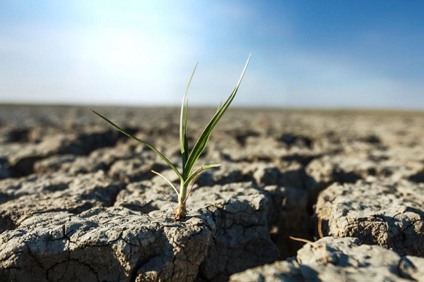Asociația Forța Fermierilor: Sectorul agricol este în alertă