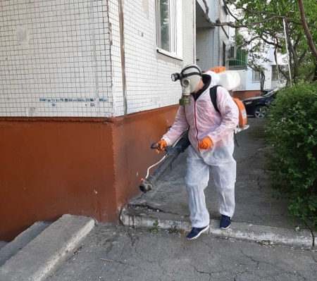 Subsolurile blocurilor de locuit din capitală, deratizate și dezinsectate