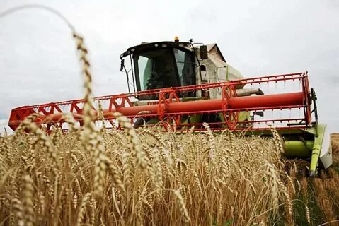 Fermierii s-au ciocnit de o secetă mai deosebită în acest an