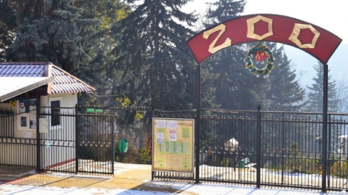 De 1 iunie, intrarea la Grădina Zoologică va fi gratuită, pentru toți copii