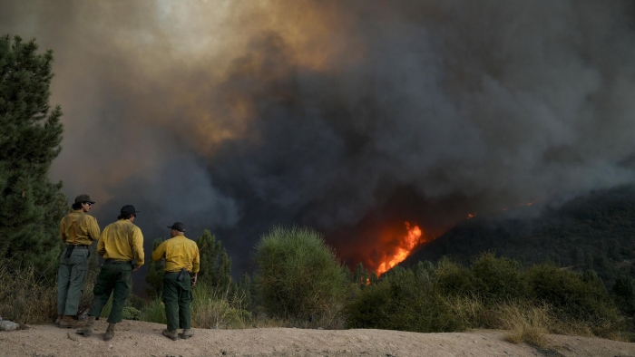 Un șir de incendii de vegetații fac ravagii în California