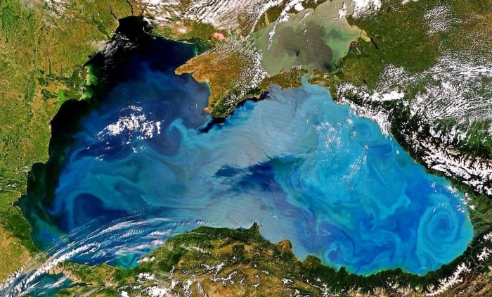 Всемирный банк выделяет грант на снижение загрязнения Черного моря