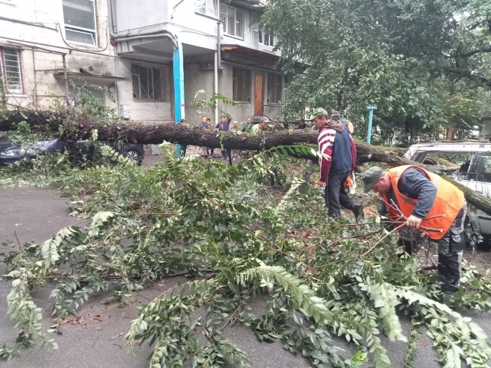 Ploile puternice au provocat pagube de aproximativ 40 de min de lei în Chișinău