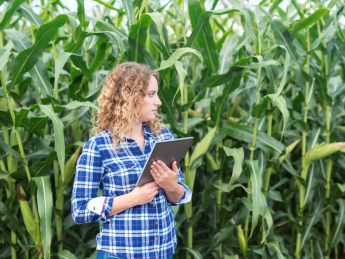 La UTM va activa un Centru de agricultură inteligentă