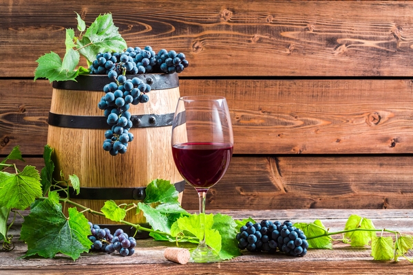 Chișinăul va deveni capitala mondială a viticulturii și vinului