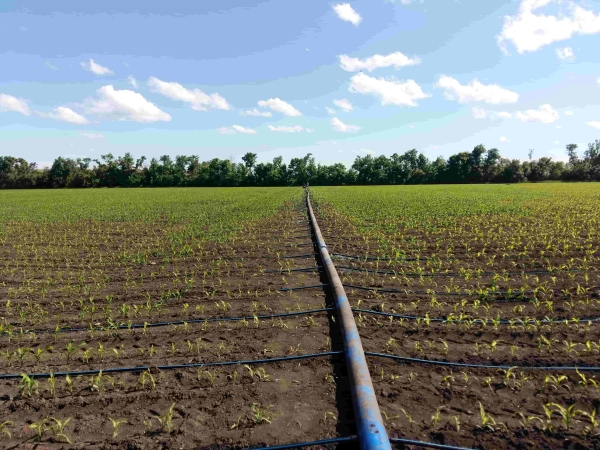 Fermierii din raionul Ștefan Vodă vor avea acces la apă pentru culturile agricole
