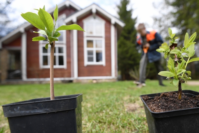 Martie - luna reînvierii și a plantărilor