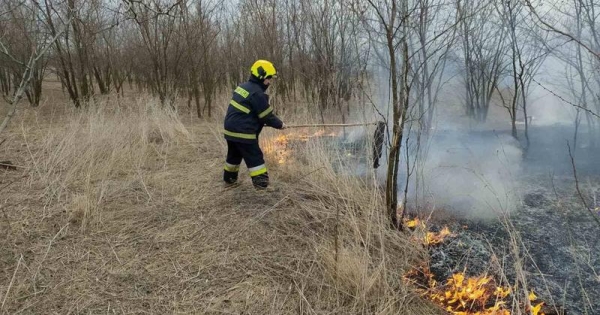 Peste 180 hectare de teren au fost compromise de incendiile de vegetație