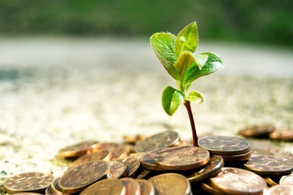 Ministerul Agriculturii vine cu măsuri de sprijin pentru fermieri