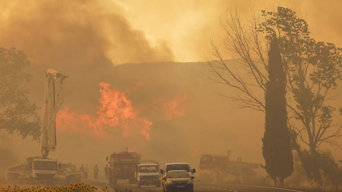 Incendiile de vegetație în Turcia