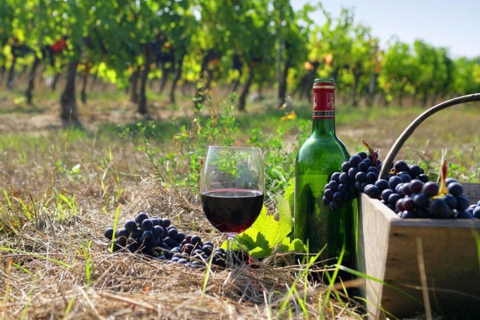 Conferința Națională a Filierii Vitivinicole va avea loc la Chișinău