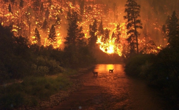 Incendii devastatoare în Turcia