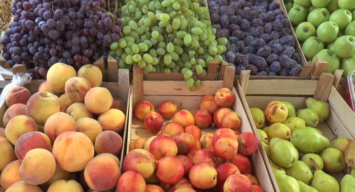 Șapte produse agricole din Moldova, exportate în UE fără taxe