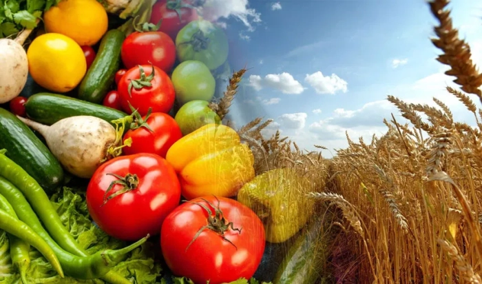 Moldova produce mult mai multe fructe și cereale, în timp ce produce mult mai puține legume, cartofi, carne și lapte