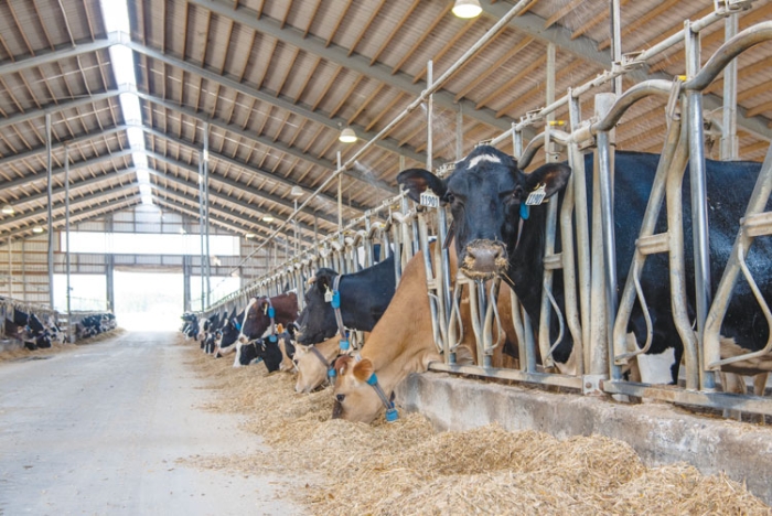 Fermierii pot beneficia de granturi de până la un milion de dolari