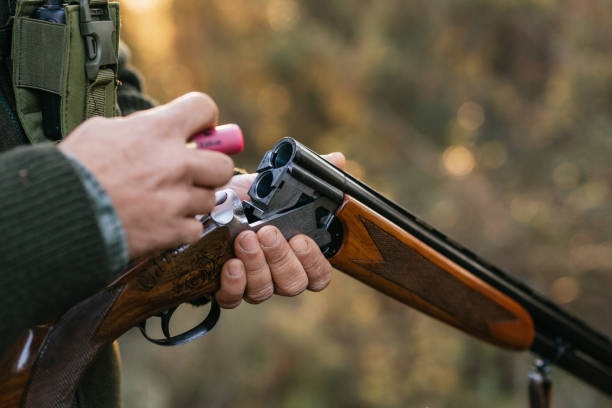 Reguli noi pentru deținătorii de arme