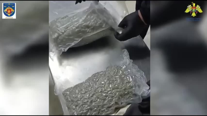 Captură de 1,2 kg de marijuana la vama