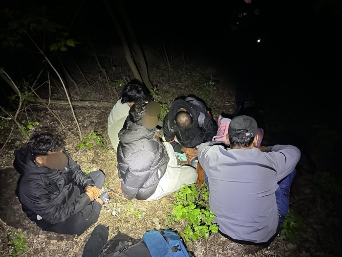 Poliția de frontieră a destructurat o rețea de migrație ilegală