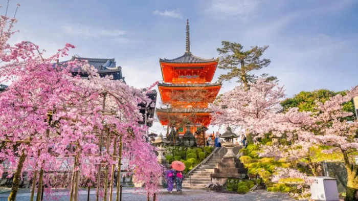 Taxe de viză în Japonia: costurile pentru turiști se majorează