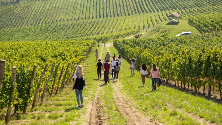 Numărul turiștilor străini a crescut cu aproape 30%