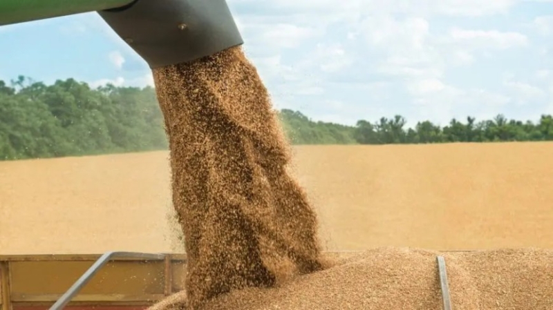 Tofan despre tranzitul cerealelor din Ucraina: "Este un mare câștig pentru noi"