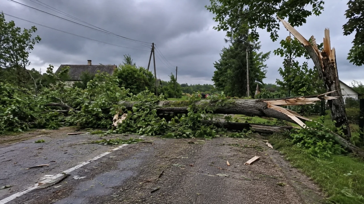 Tornadă violentă a măturat sudul Franței