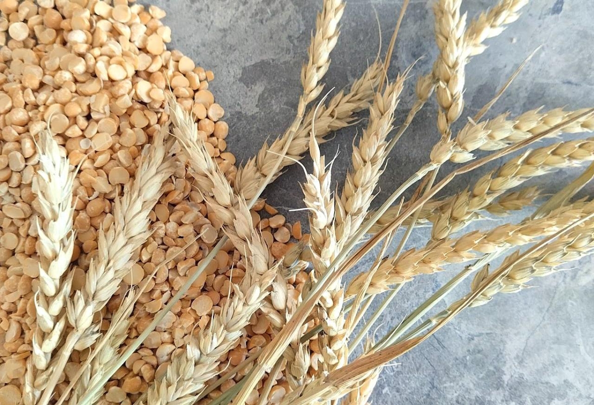 Prețurile produselor agricole cresc
