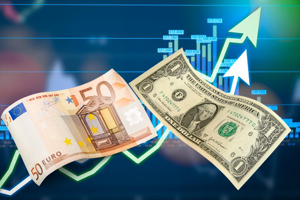 Euro și Dolarul cresc în weekend