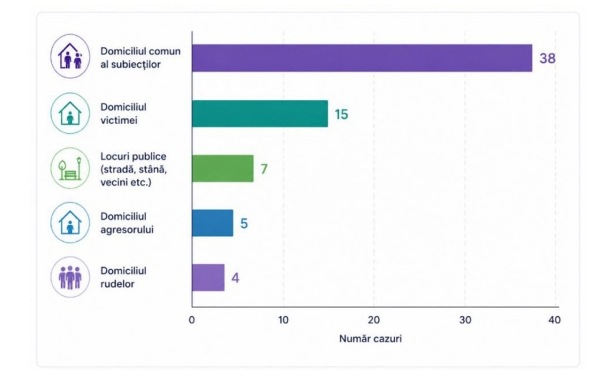 Majoritatea actelor de violență domestică se produc în locuința comună