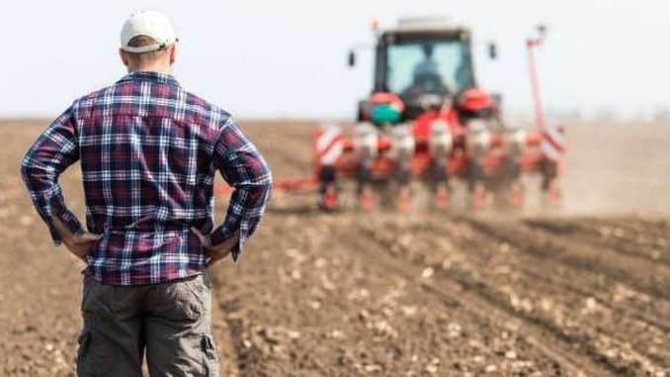 Asociația „Forța Fermierilor” critică majorarea cotei TVA la cereale și oleaginoase de la 8% la 12%