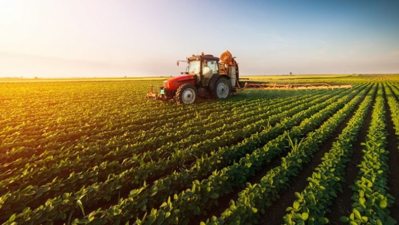 „Registrul fermierilor”: agricultorii vor avea acces direct la fondurile europene