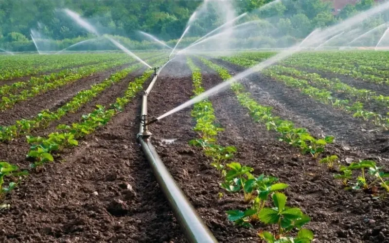 Două sisteme centralizate de irigare vor fi reabilitate