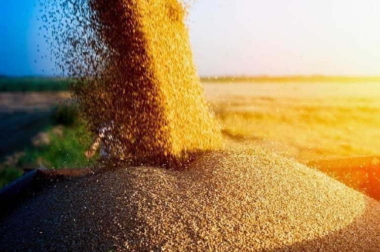 Fermierii moldoveni cer control asupra cerealelor din Ucraina