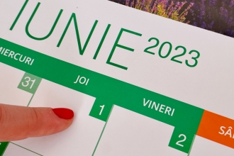 Proiect pentru declararea zilelor libere pe 1 și 2 iunie