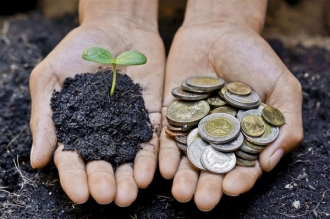 AIPA a început să elibereze ajutor pentru producătorii de cereale