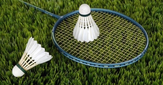 Chişinăul a găzduit turneul internaţional la badminton