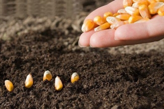 Japonia acordă 1,9 mln euro pentru asigurarea fermierilor cu fertilizanți