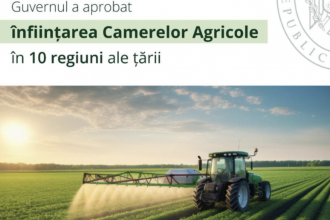Sprijin pentru fermieri: Guvernul a aprobat crearea camerelor agricole