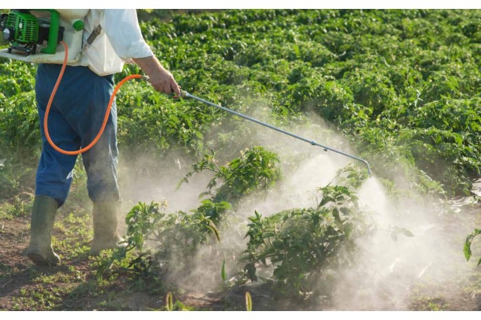 ANSP atenționează populația să fie prudentă la utilizarea pesticidelor