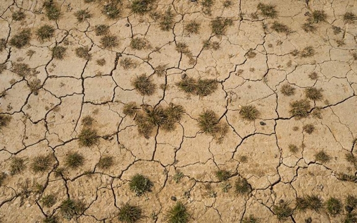 Seceta provocată de fenomentul El Nino, face prăpăd în Zimbabwe