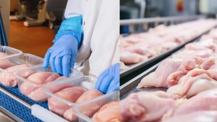 Veste bună pentru producători: Moldova va putea exporta carne de pasăre proaspătă și înghețată în UE